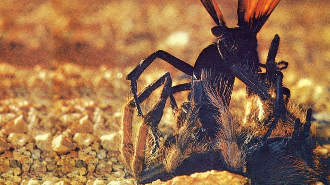 Backdrop image for movie The Living Desert