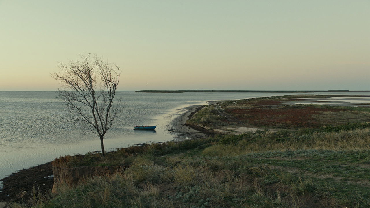 Backdrop image for movie Homeward