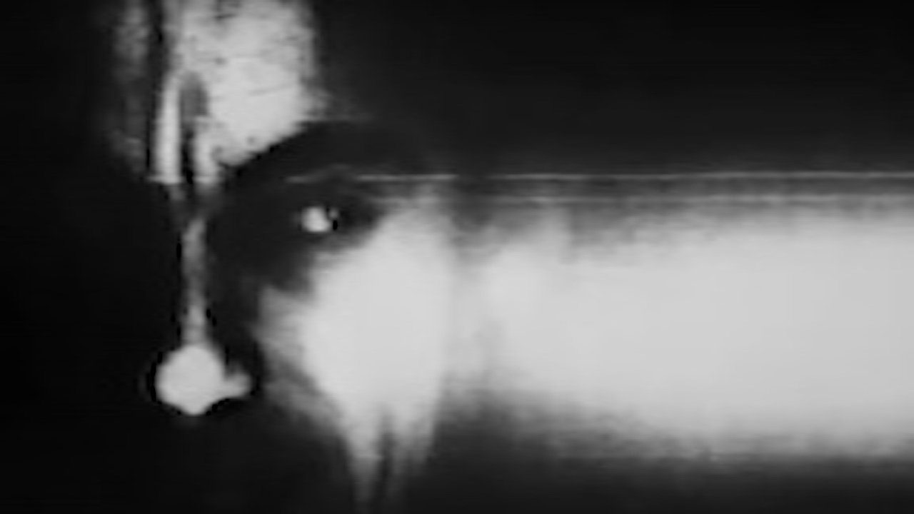 Backdrop image for movie Copy Film