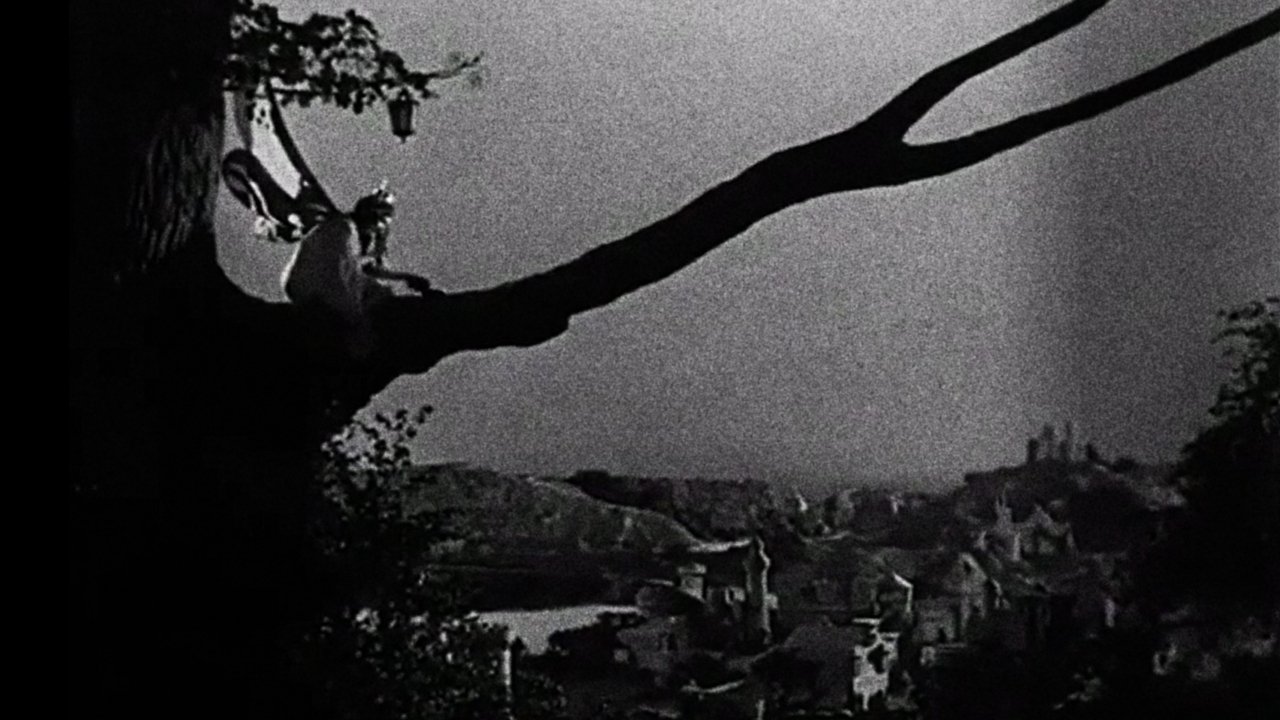 Backdrop image for movie Enchantment