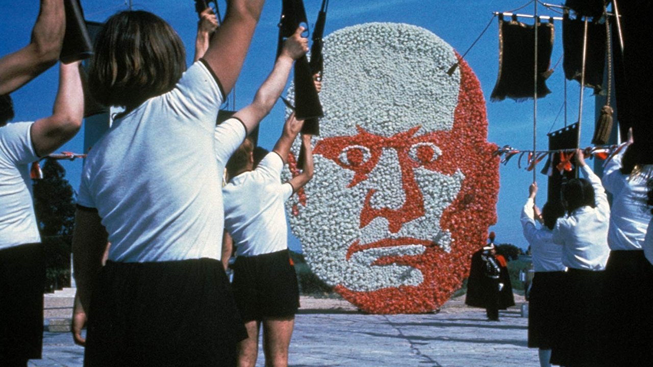 Backdrop image for movie Amarcord