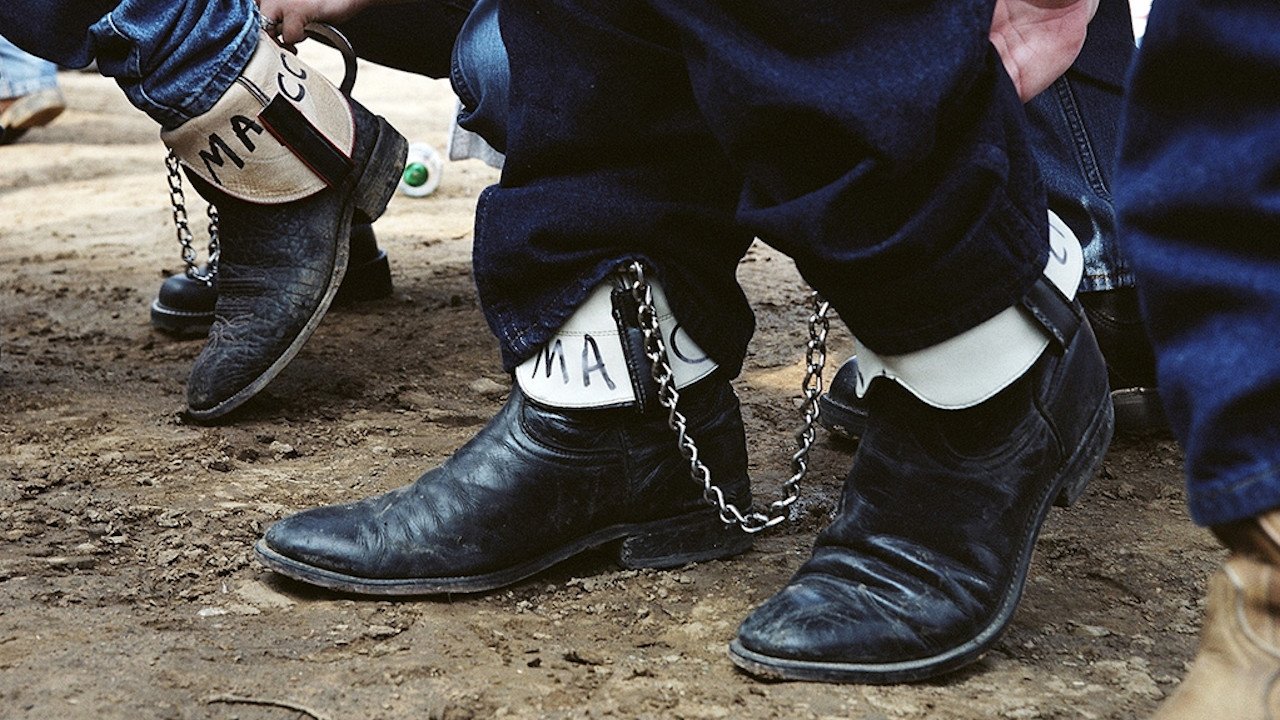 Backdrop image for movie Sweethearts of the Prison Rodeo