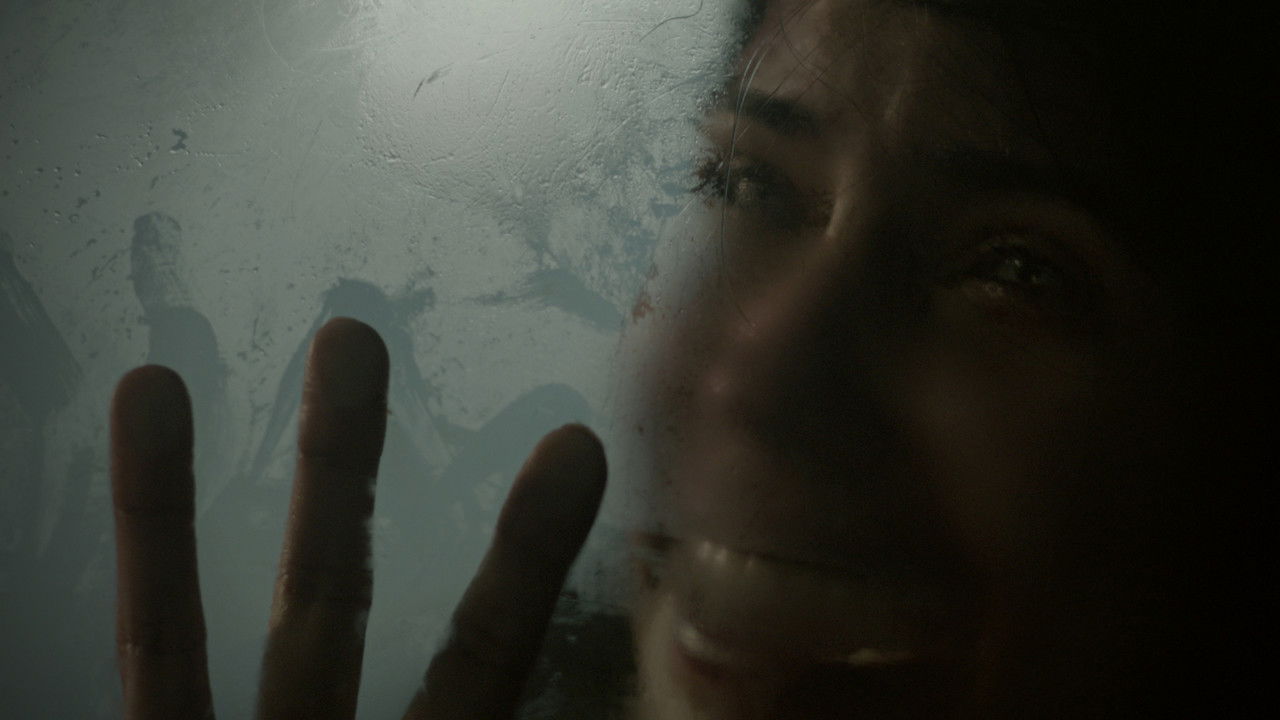 Backdrop image for movie El cuidador del bosque