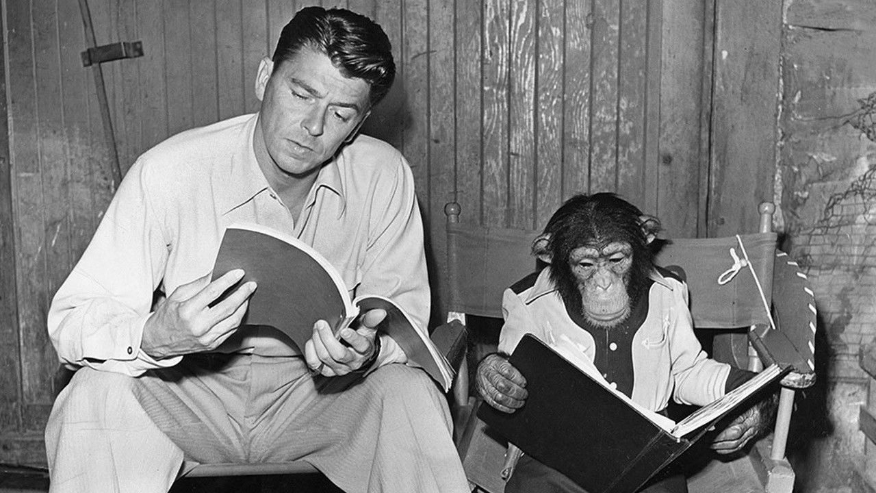 Backdrop image for movie Bedtime for Bonzo