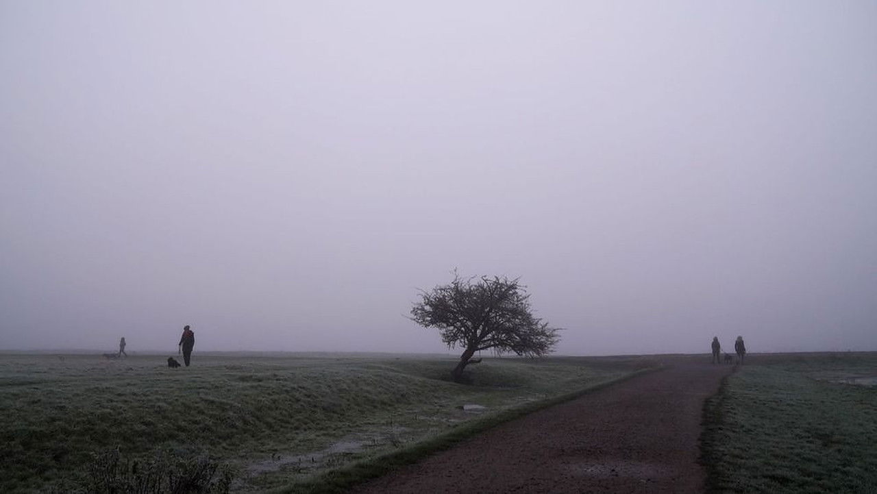 Backdrop image for movie Port Meadow