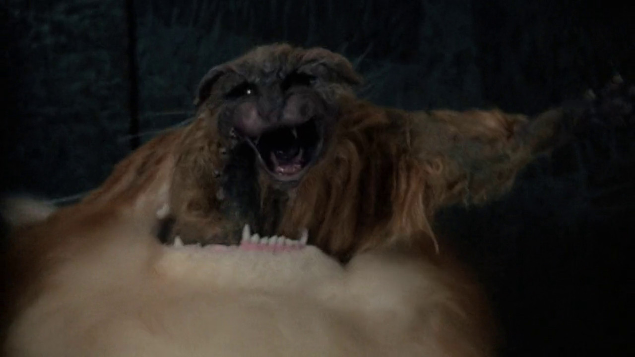 Backdrop image for movie Uninvited