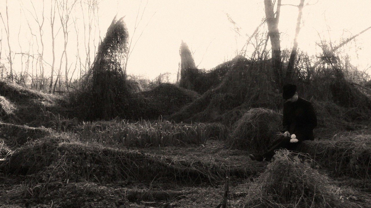 Backdrop image for movie Yours