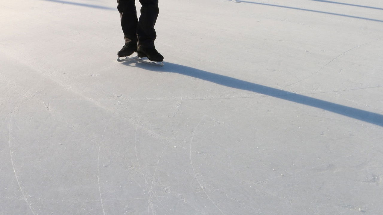 Backdrop image for movie Go Figure