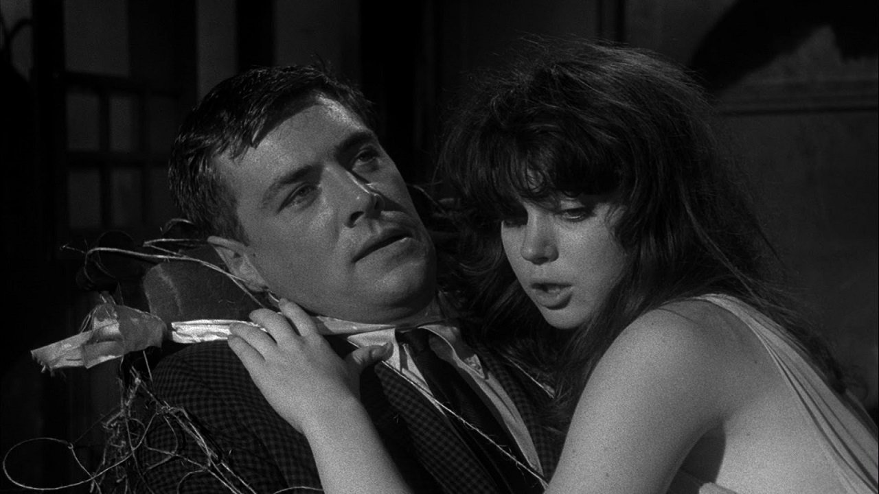 Backdrop image for movie Spider Baby
