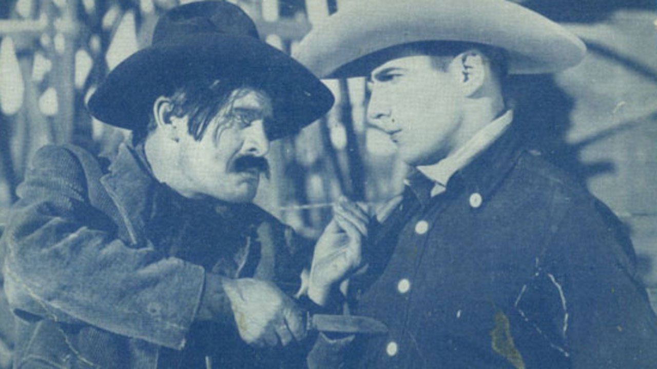 Backdrop image for movie The Cowboy Musketeer