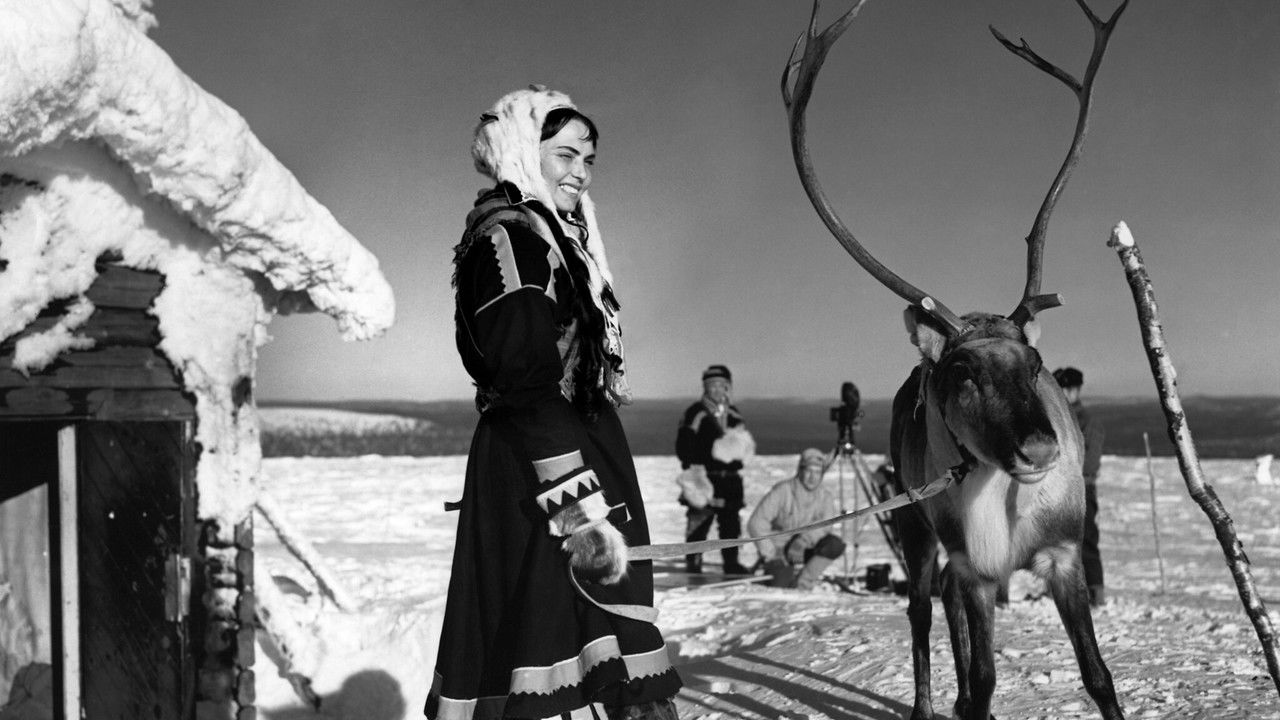 Backdrop image for movie The White Reindeer
