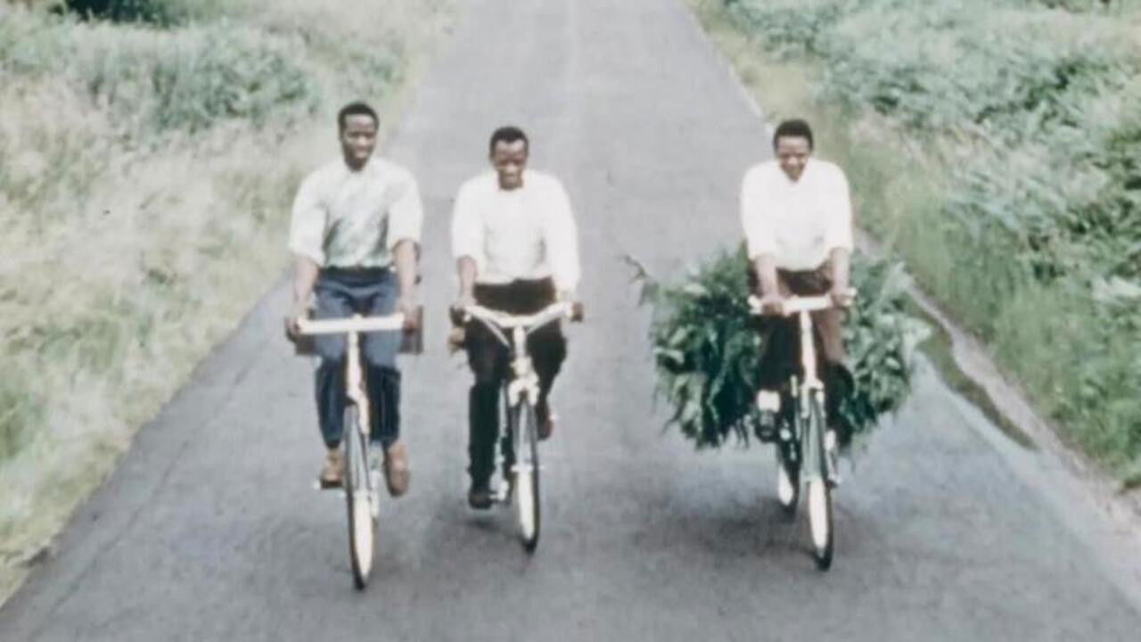 Backdrop image for movie Phillips Bicycles - Publicity Films for West Africa