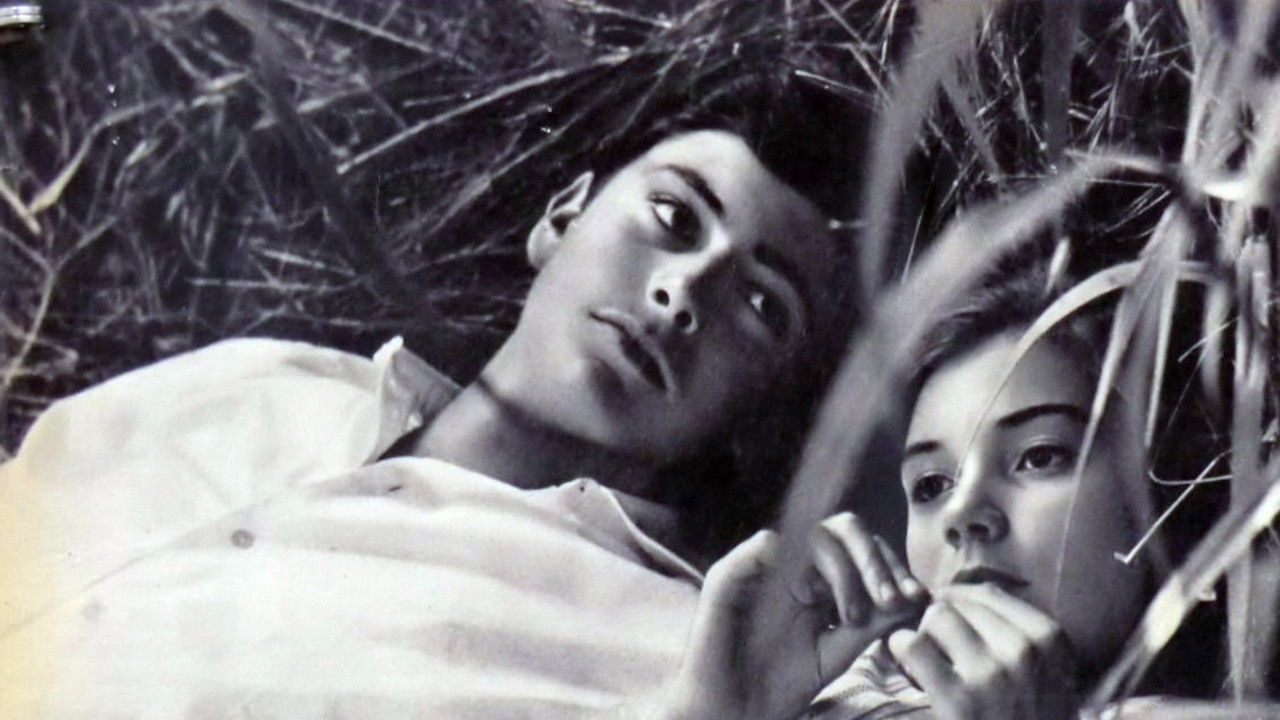 Backdrop image for movie Latin Lovers