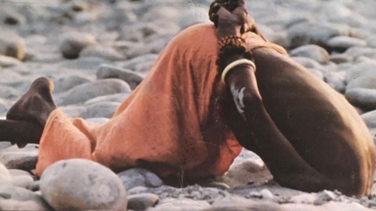 Backdrop image for movie This Violent World