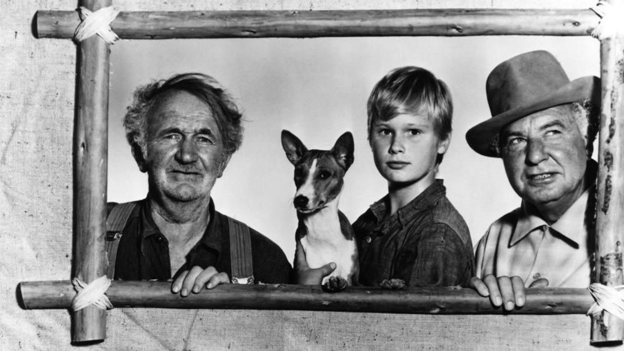 Backdrop image for movie Good-bye, My Lady