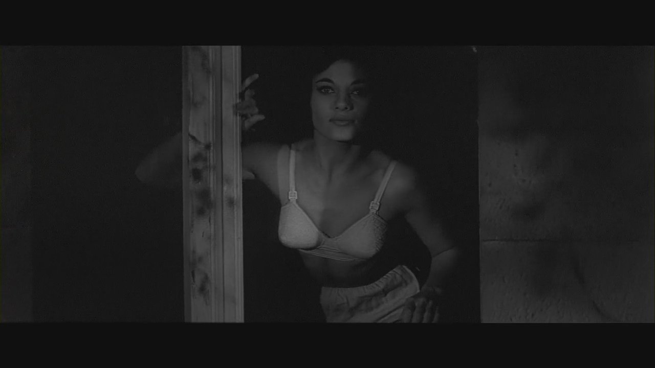 Backdrop image for movie Curse of the Fly