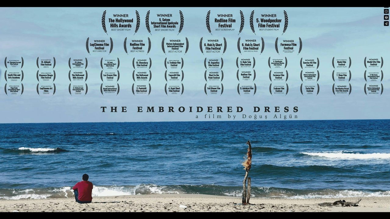 Backdrop image for movie The Embroidered Dress