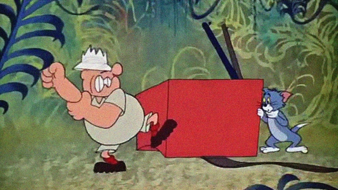 Backdrop image for movie Sorry Safari