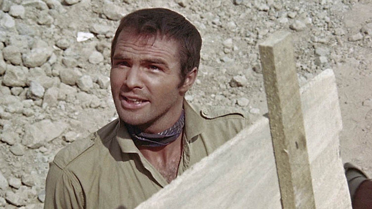 Backdrop image for movie Shark