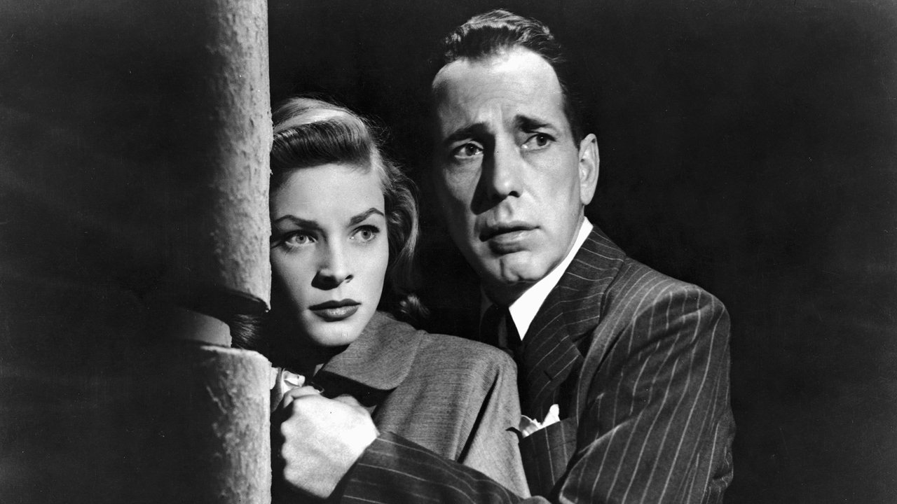 Backdrop image for movie Dark Passage
