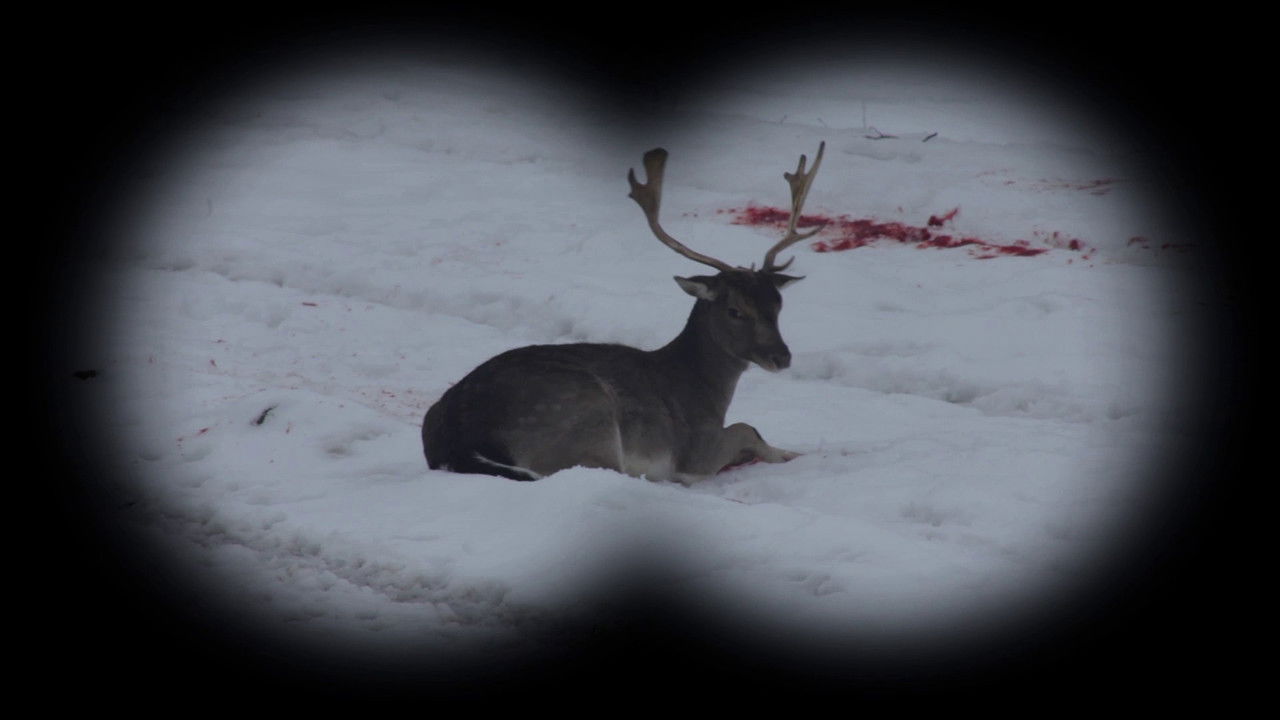 Backdrop image for movie Long Live Hunting!