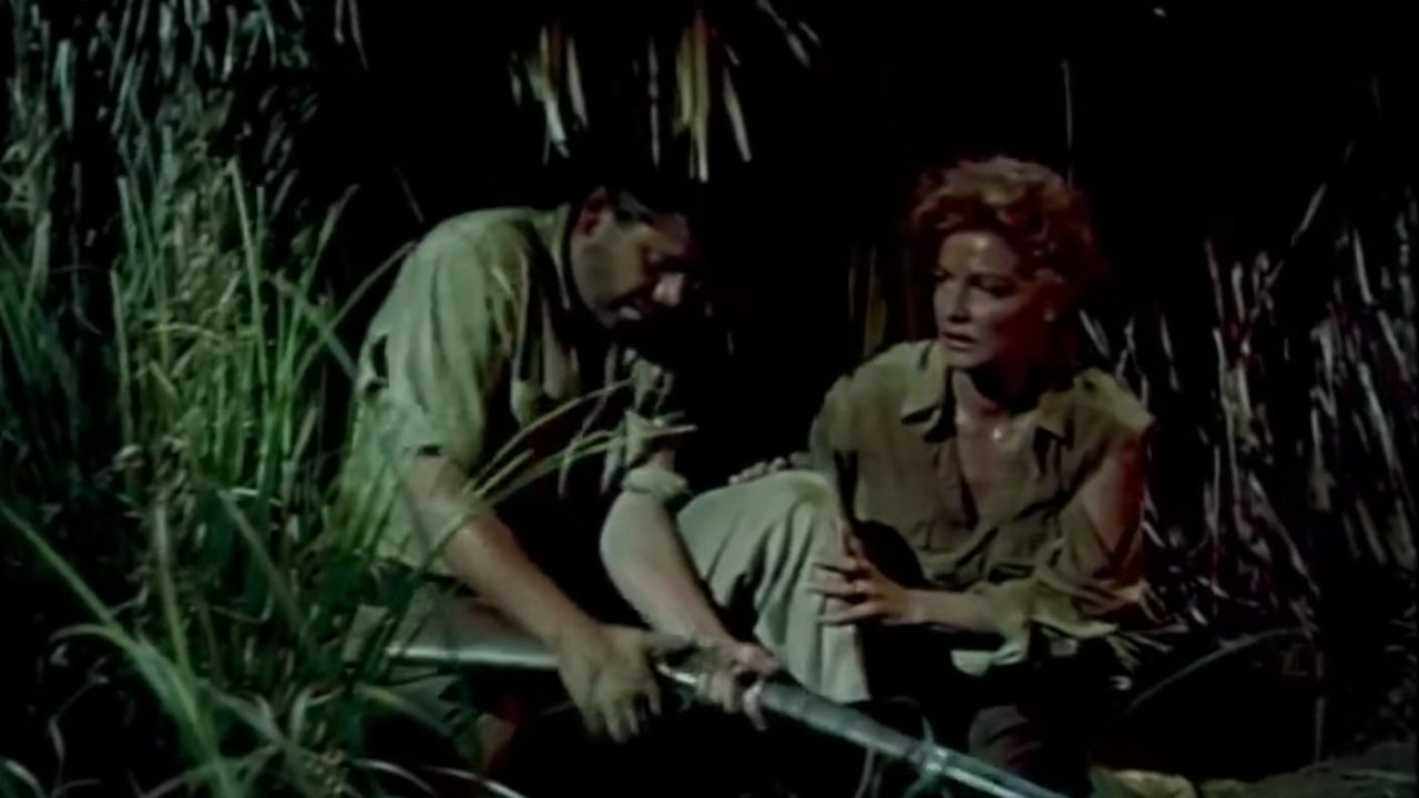 Backdrop image for movie Appointment in Honduras