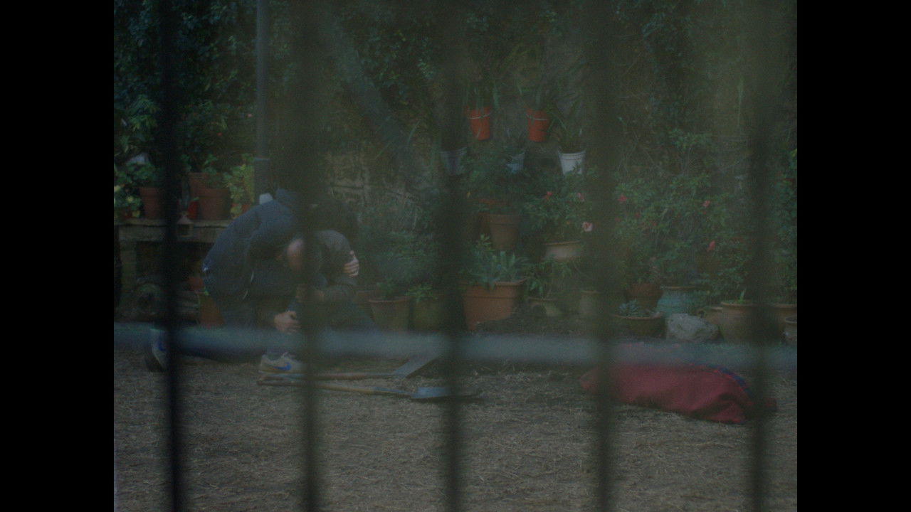 Backdrop image for movie Acá te dejo