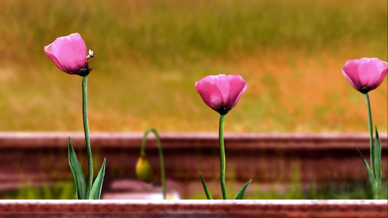 Backdrop image for movie Living a Different Life