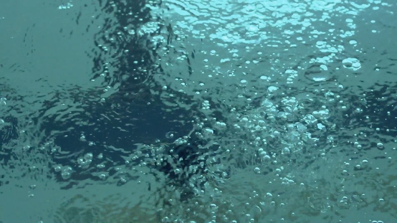 Backdrop image for movie Swimming