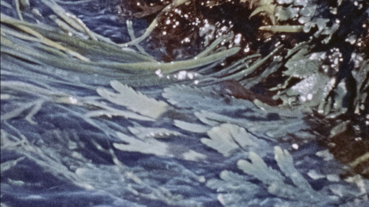 Backdrop image for movie Waves