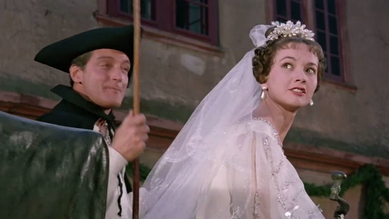 Backdrop image for movie The Spessart Inn