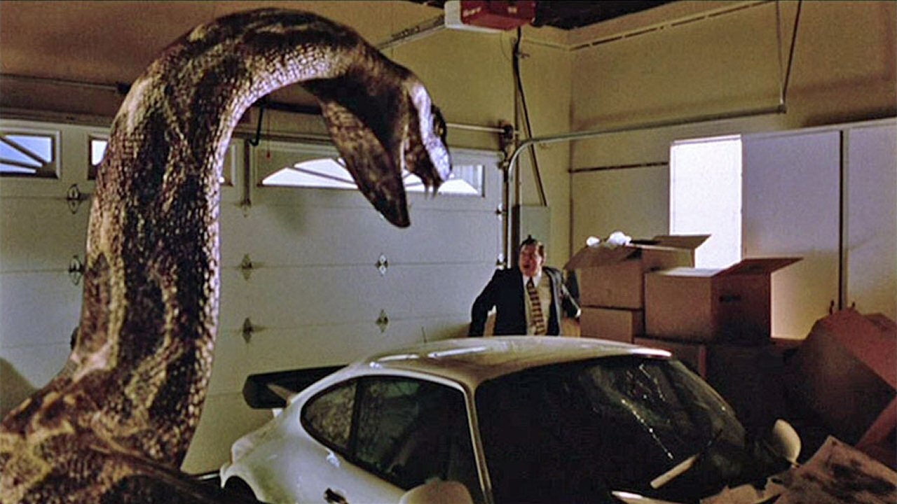 Backdrop image for movie Python