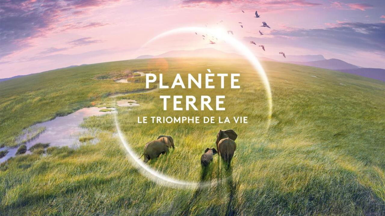 Backdrop image for movie Planète Terre, le triomphe de la vie