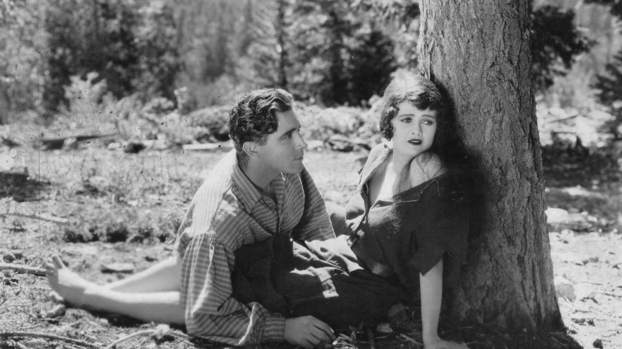 Backdrop image for movie The Shepherd of the Hills