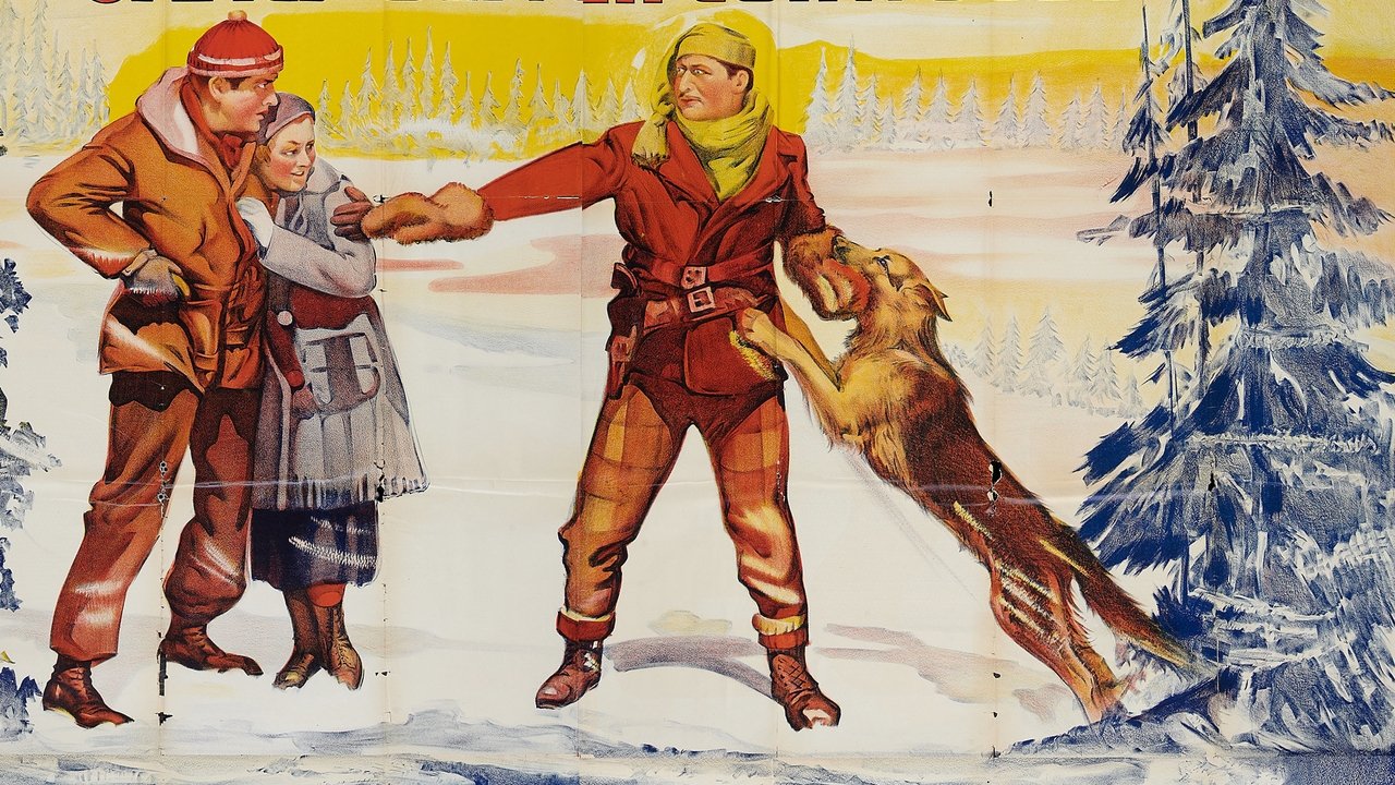 Backdrop image for movie The Test