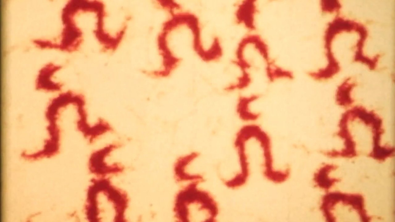 Backdrop image for movie Sandman