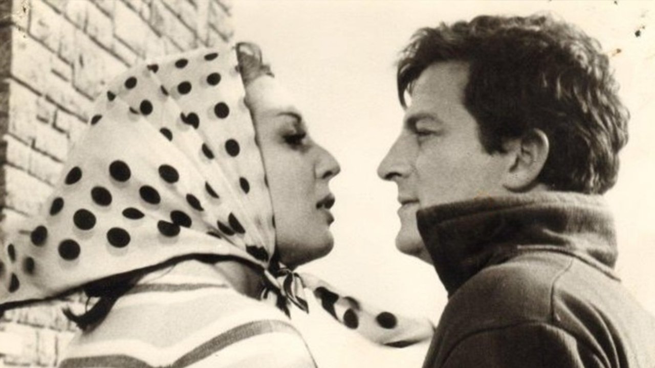 Backdrop image for movie Dişi Örümcek