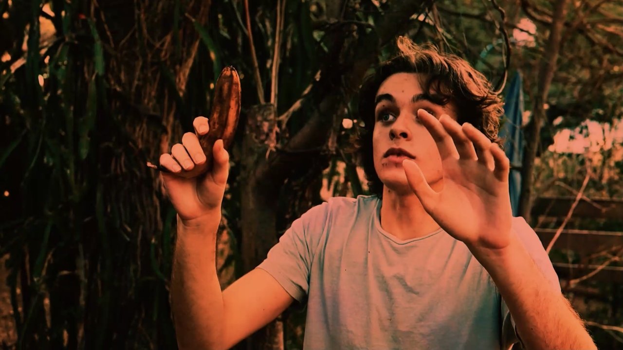Backdrop image for movie It’s Only a Film