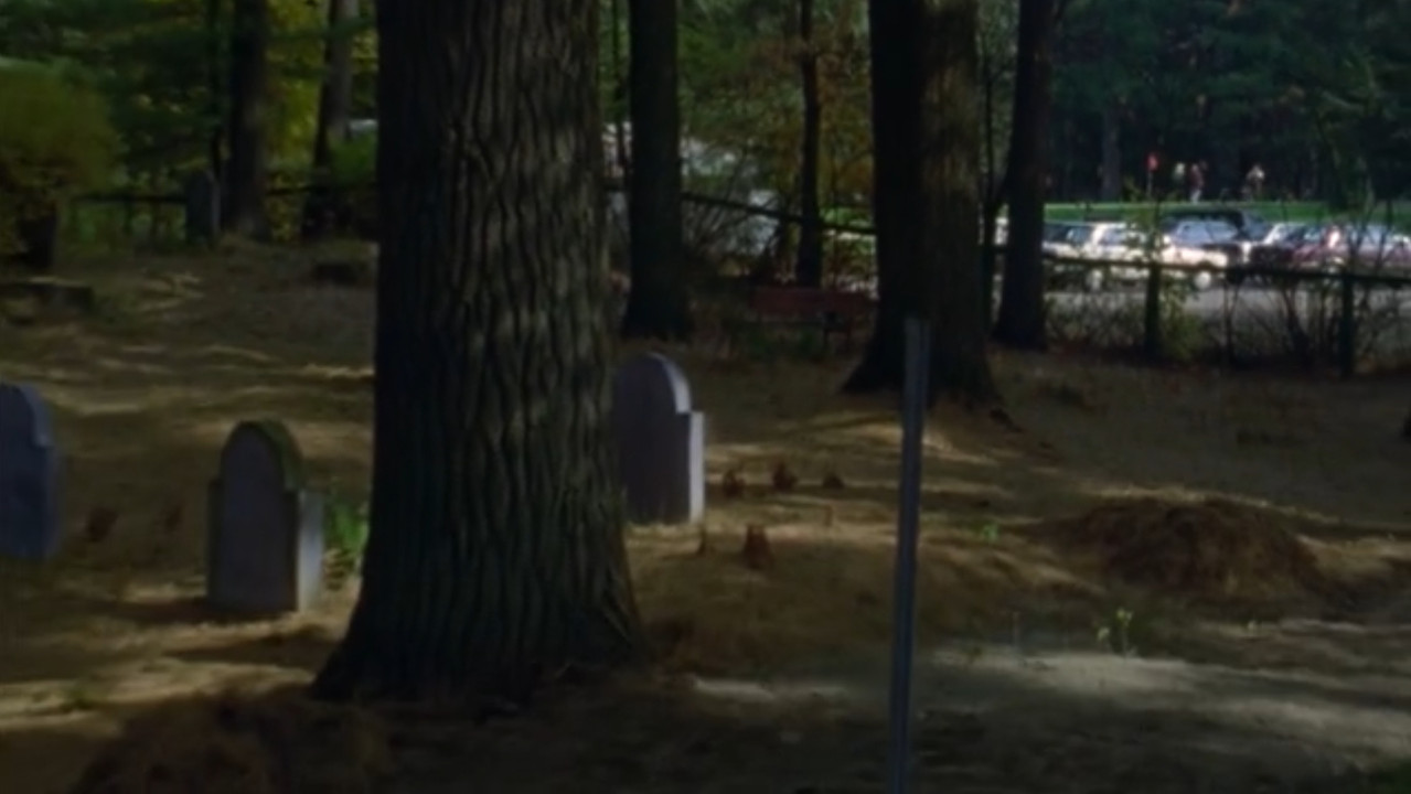 Backdrop image for movie Kanehsatake, 270 Years of Resistance