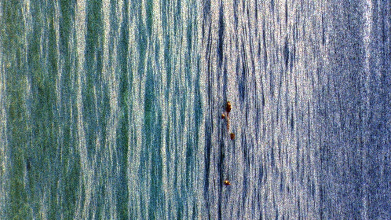 Backdrop image for movie Apple Pie