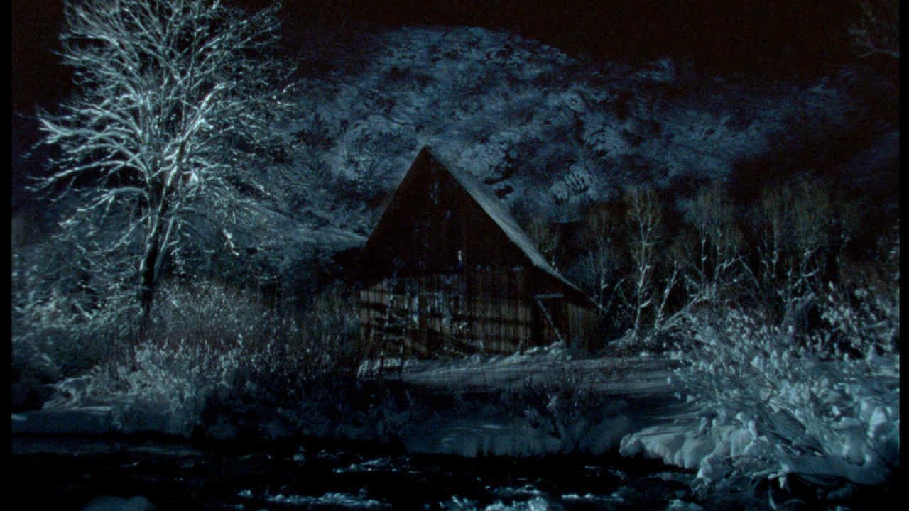 Backdrop image for movie The Tree