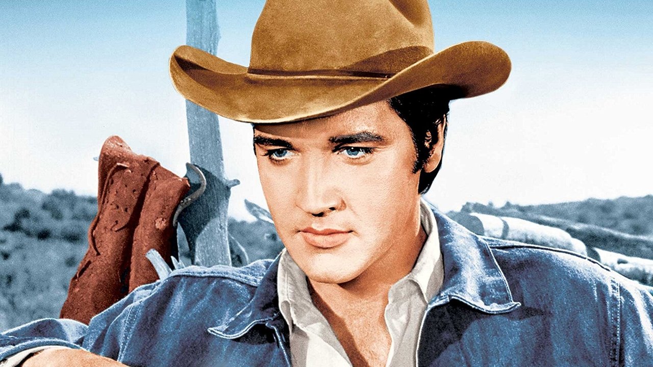 Backdrop image for movie Stay Away, Joe