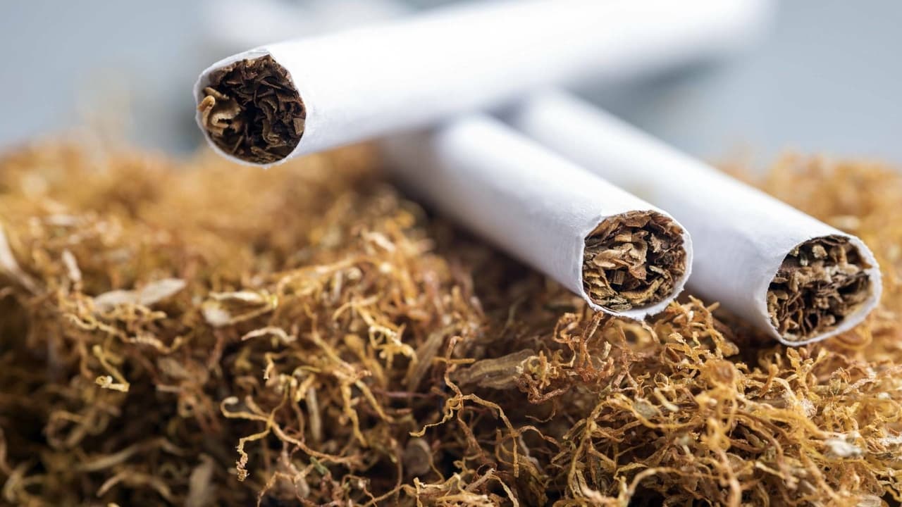 Backdrop image for movie Nicotine - A Drug with a Future