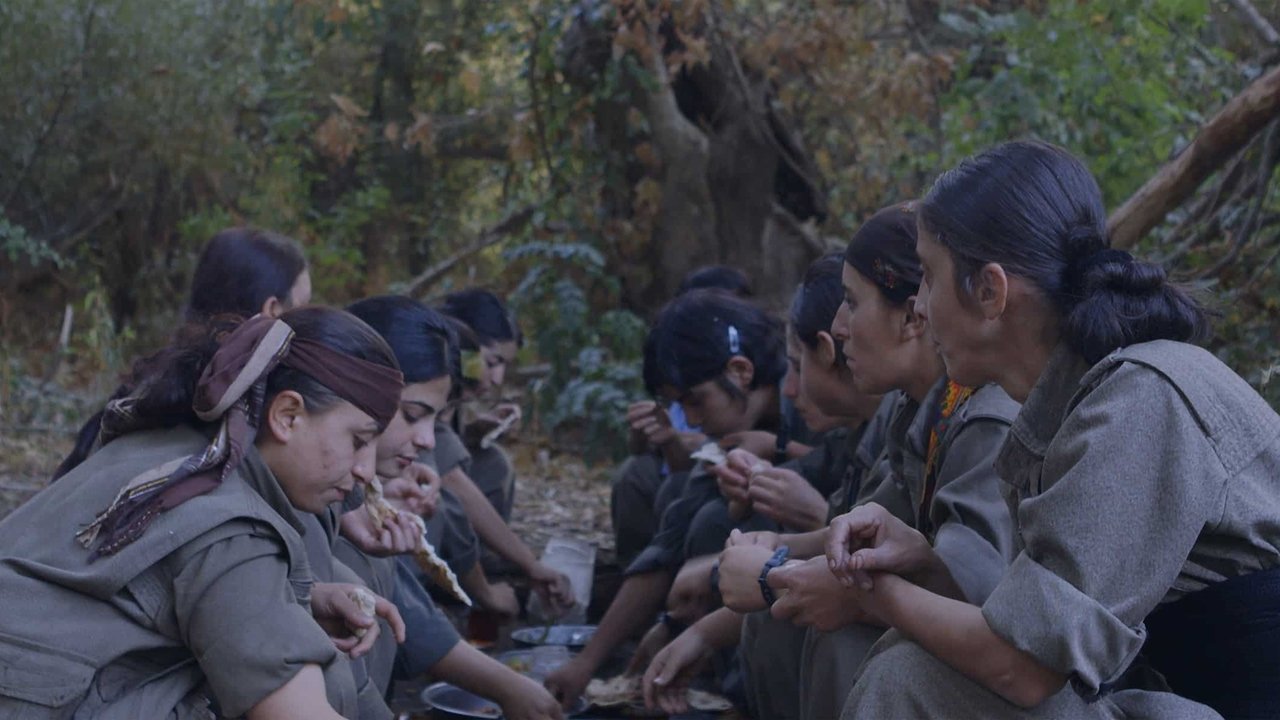 Backdrop image for movie Gulîstan, Land of Roses