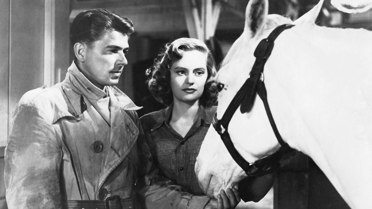 Backdrop image for movie Stallion Road
