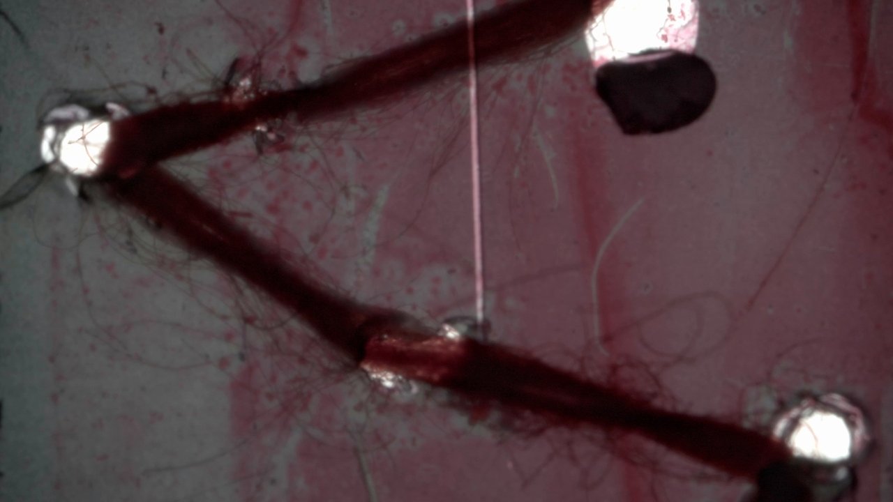 Backdrop image for movie Flesh in Turmoil