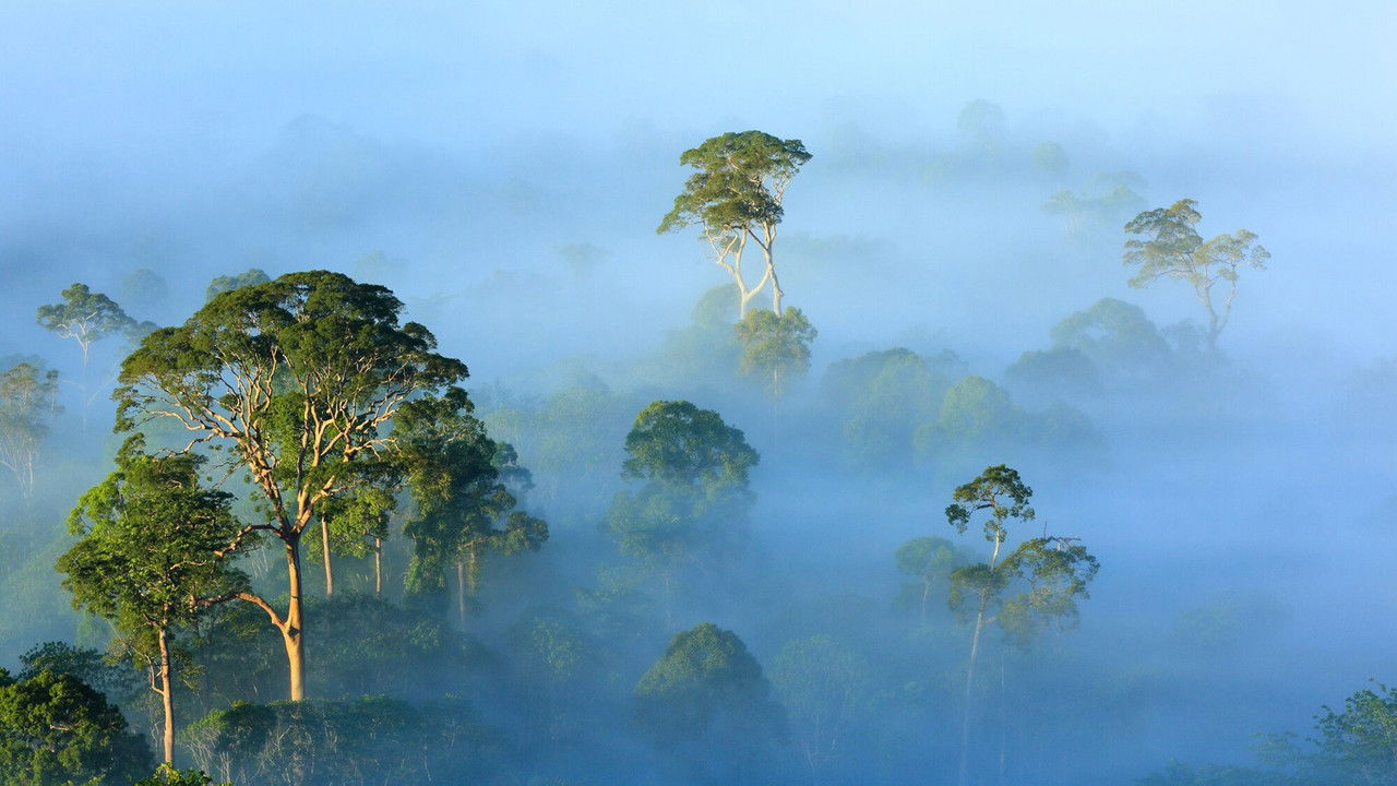 Backdrop image for movie The View From on High