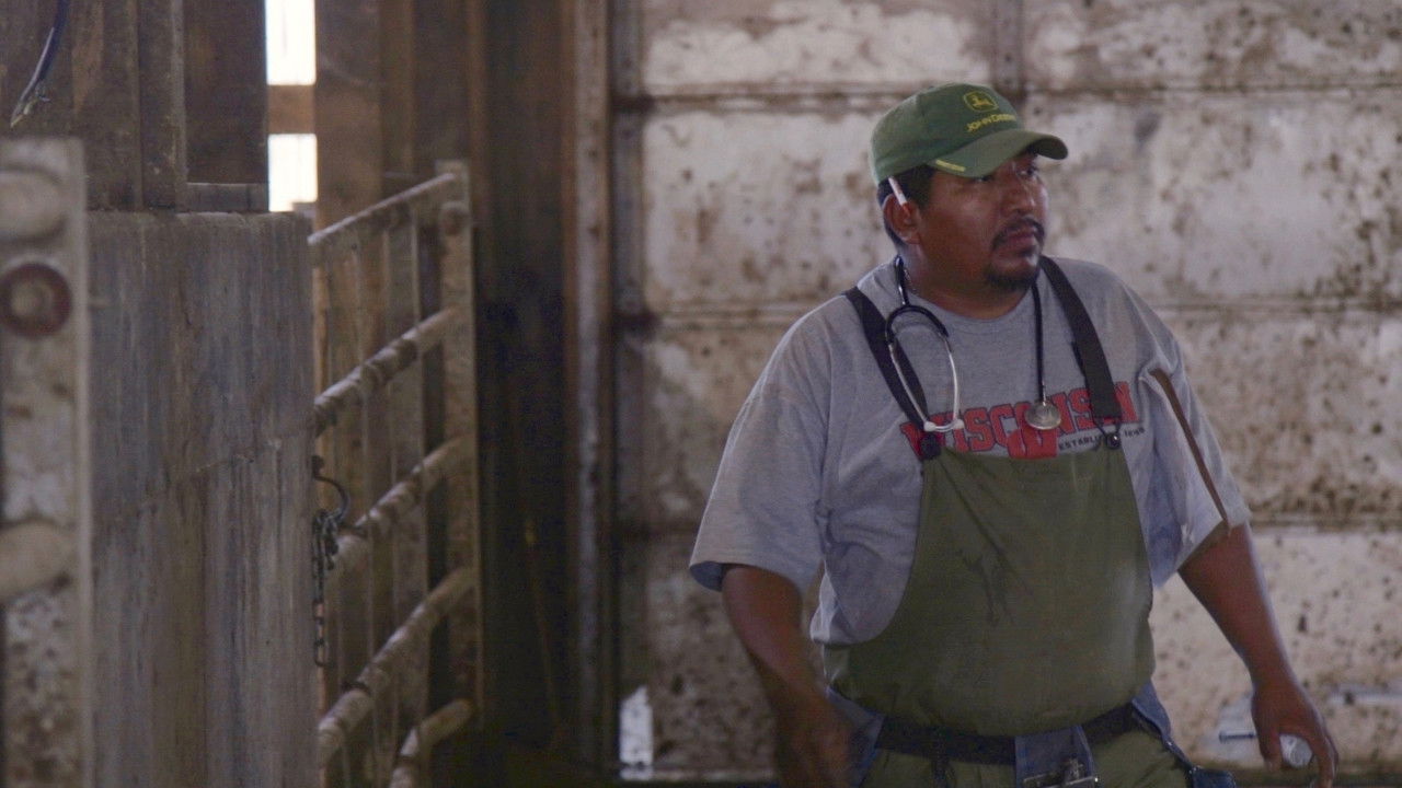 Backdrop image for movie Los Lecheros