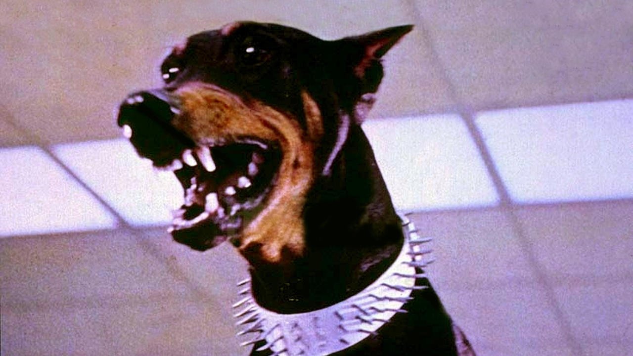 Backdrop image for movie The Doberman Gang