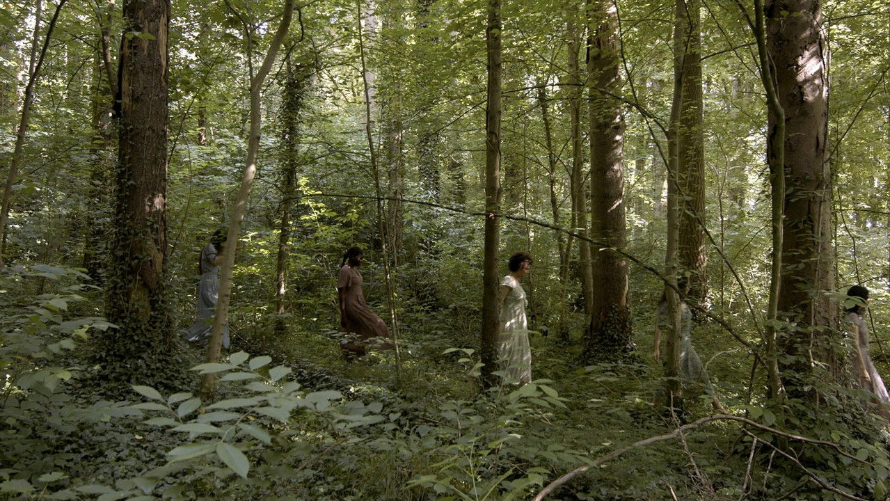 Backdrop image for movie The Melusinas at the Edge of the River